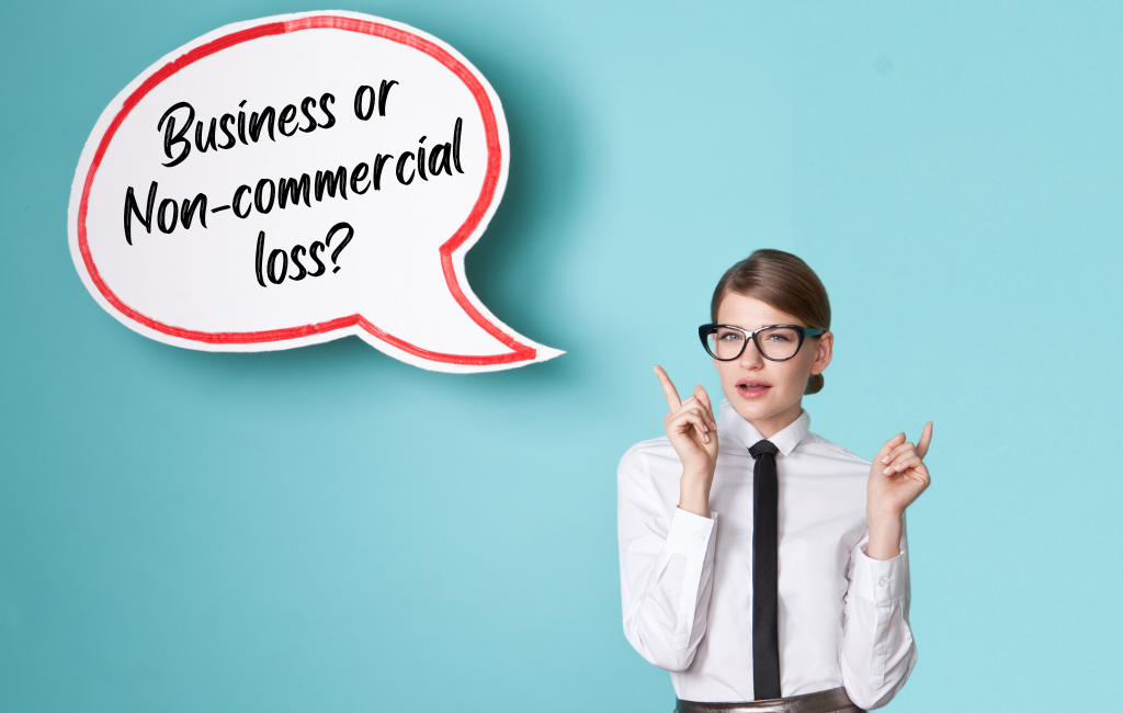 Made a business or non-commercial loss?