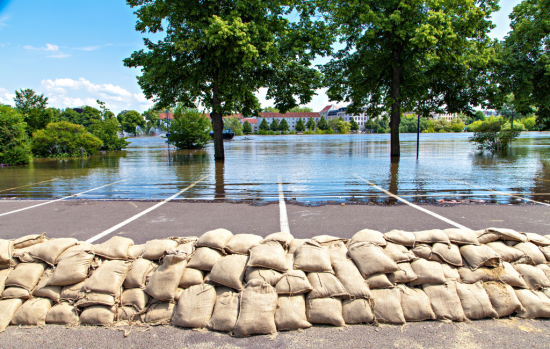  Has your business been impacted by floods?